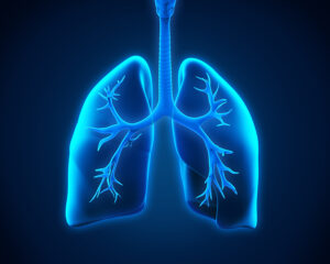 Home Care Great Neck NY - Risk Factors for Bronchitis