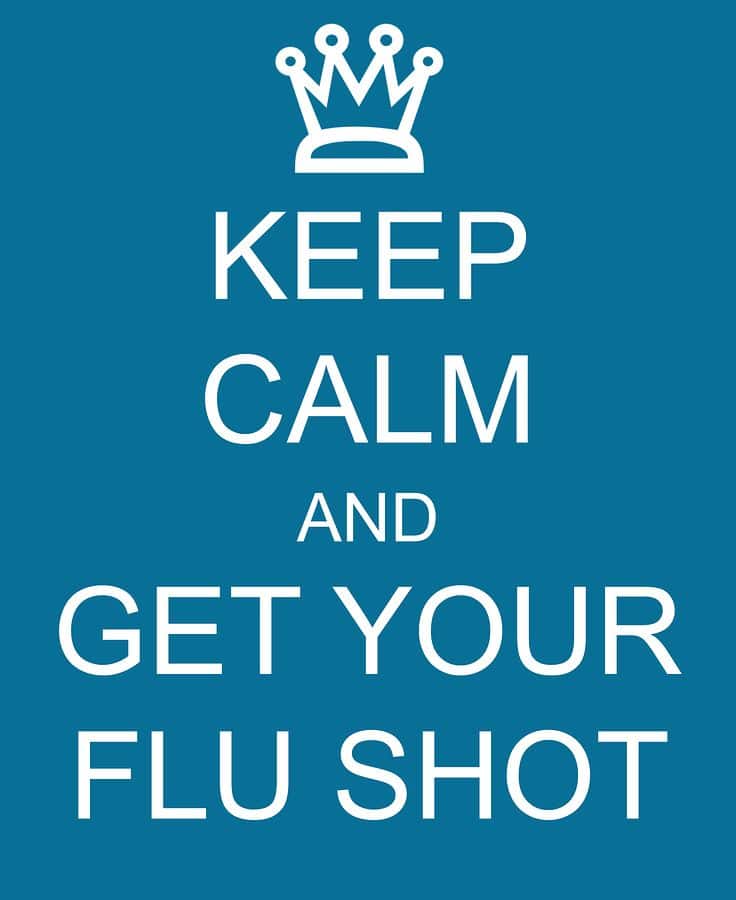 Elder Care Rockville Center NY - Fighting Off the Flu Can Be Done in Many Ways: Here’s How You Can Help