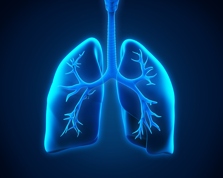 Home Care Great Neck NY - Risk Factors for Bronchitis