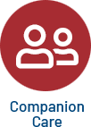 Companion Care in Long Island, New York by Star Multi Care Services